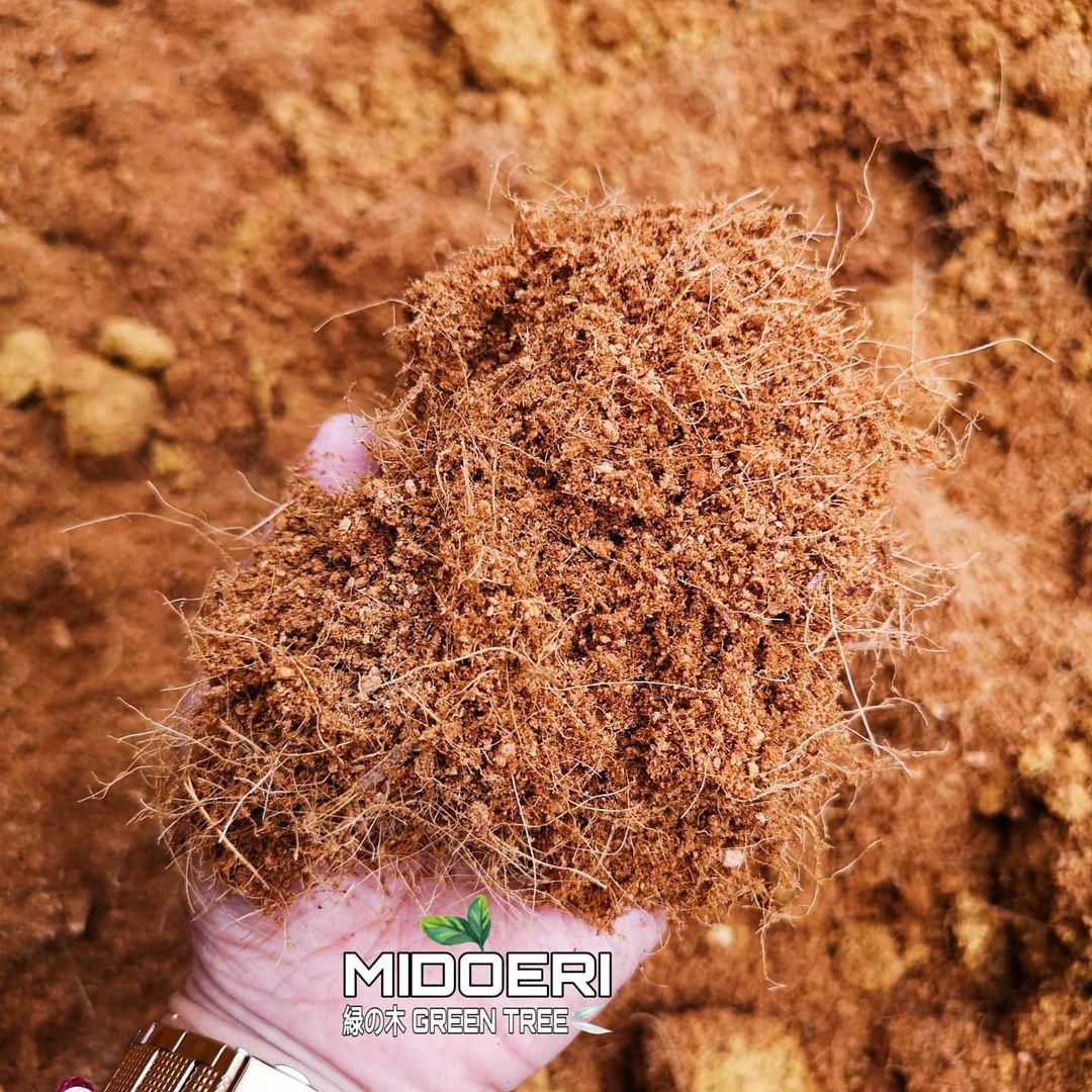 Compost