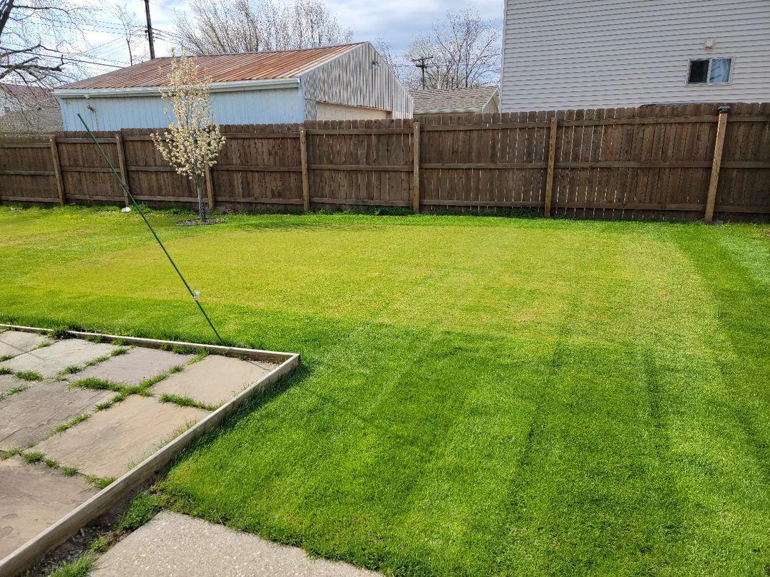 Bentgrass