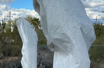 Can you put frost cloth directly on plants?